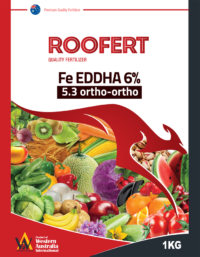 Iron Fe EDDHA 6% 5.3 ortho-ortho
